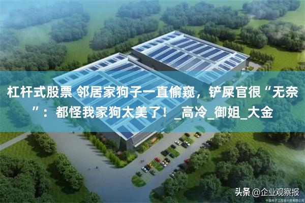 杠杆式股票 邻居家狗子一直偷窥，铲屎官很“无奈”：都怪我家狗太美了！_高冷_御姐_大金