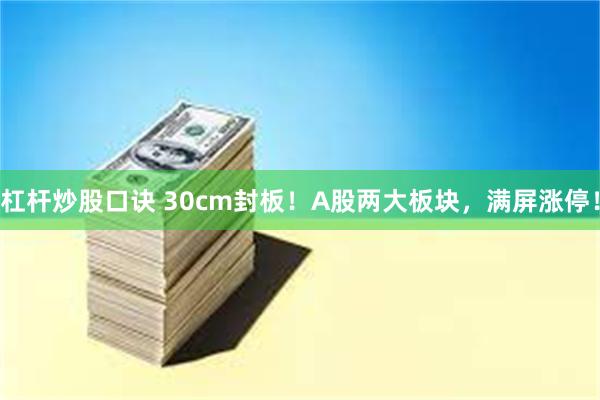 杠杆炒股口诀 30cm封板！A股两大板块，满屏涨停！