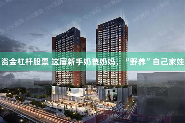 资金杠杆股票 这届新手奶爸奶妈，“野养”自己家娃