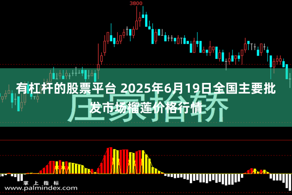 有杠杆的股票平台 2025年6月19日全国主要批发市场榴莲价格行情