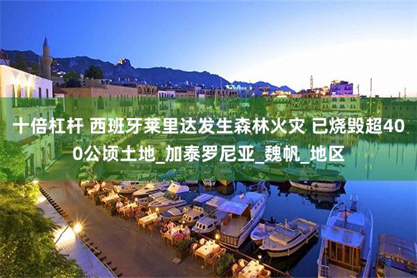 十倍杠杆 西班牙莱里达发生森林火灾 已烧毁超400公顷土地_加泰罗尼亚_魏帆_地区