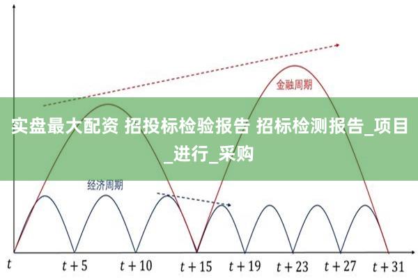 实盘最大配资 招投标检验报告 招标检测报告_项目_进行_采购