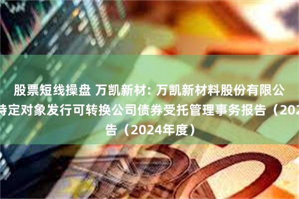 股票短线操盘 万凯新材: 万凯新材料股份有限公司向不特定对象发行可转换公司债券受托管理事务报告（2024年度）