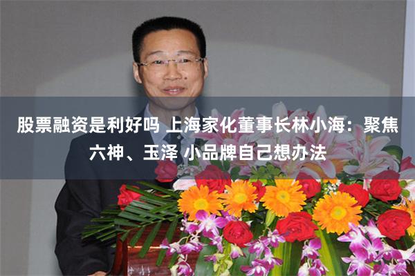 股票融资是利好吗 上海家化董事长林小海：聚焦六神、玉泽 小品牌自己想办法