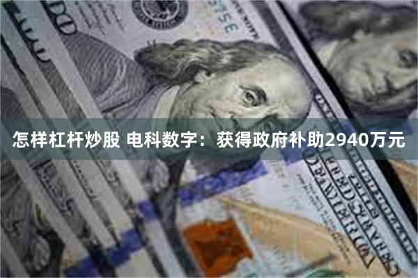 怎样杠杆炒股 电科数字：获得政府补助2940万元