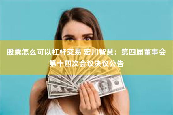 股票怎么可以杠杆交易 宏川智慧：第四届董事会第十四次会议决议公告
