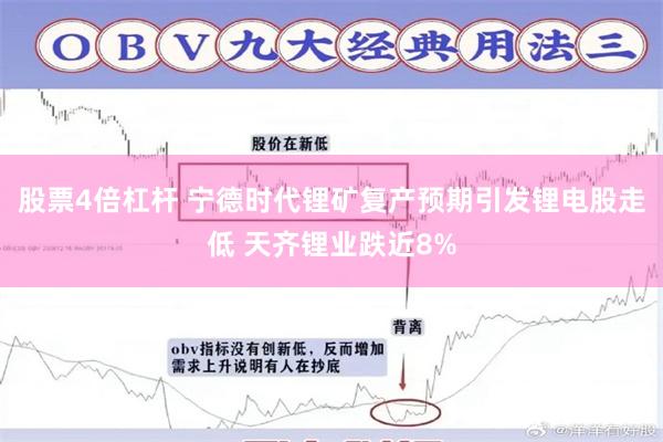 股票4倍杠杆 宁德时代锂矿复产预期引发锂电股走低 天齐锂业跌近8%
